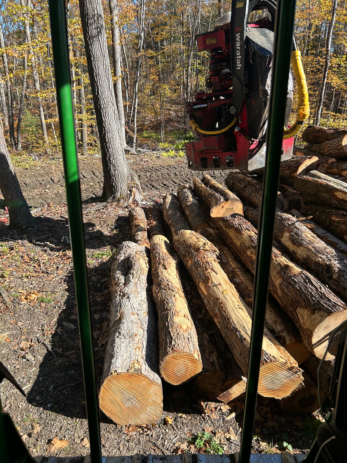 John Deere 803M/MH - 959M Feller Bunchers Windows