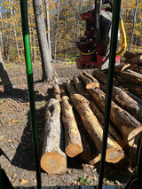 John Deere 803M/MH - 959M Feller Bunchers Windows